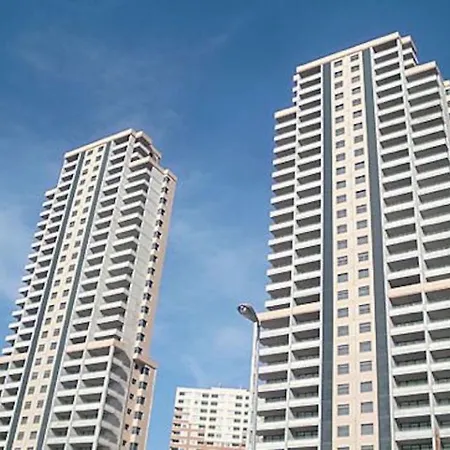 Torres Doboe Blueline